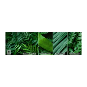 Photo Wallpaper Sample Premium Sand - In a Green Hug - Exotic Plant, Palm Leaf, Monstera leaf - 100x30 cm