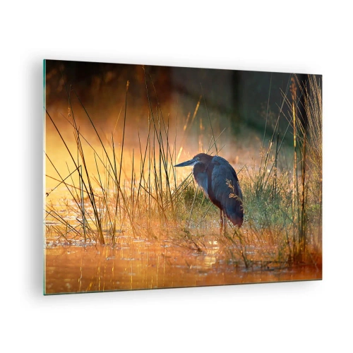 Glass picture - Sunset over a lake with a heron - 70x50cm - Stop Taking Pictures - Modern wall decoration for the living room and bedroom ARTTOR