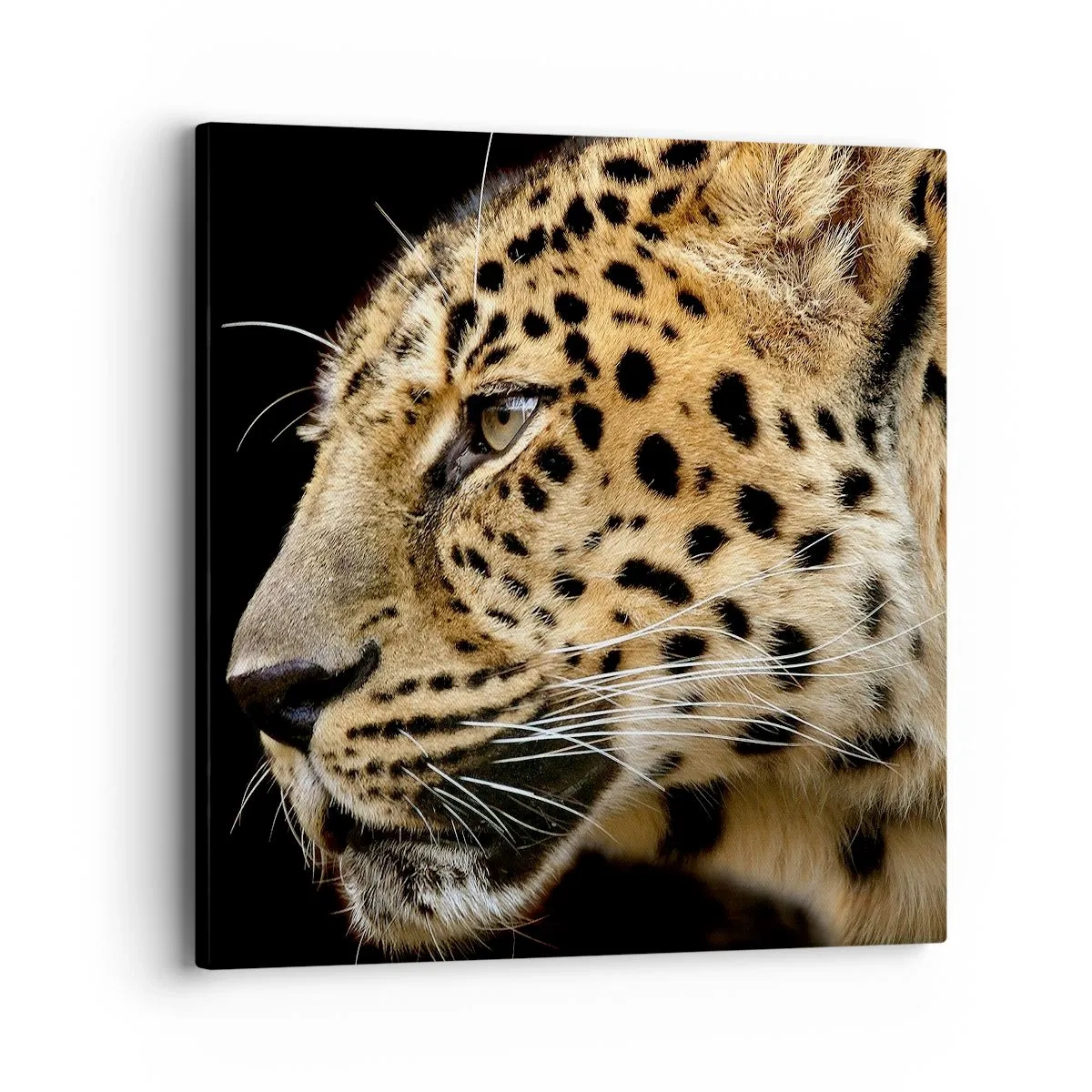 Canvas picture - Calm, Focused, Ready - 40x40 cm