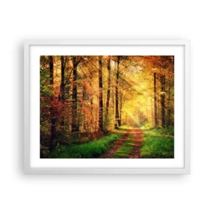 Poster in white frmae - Forest Golden silence - 50x40 cm