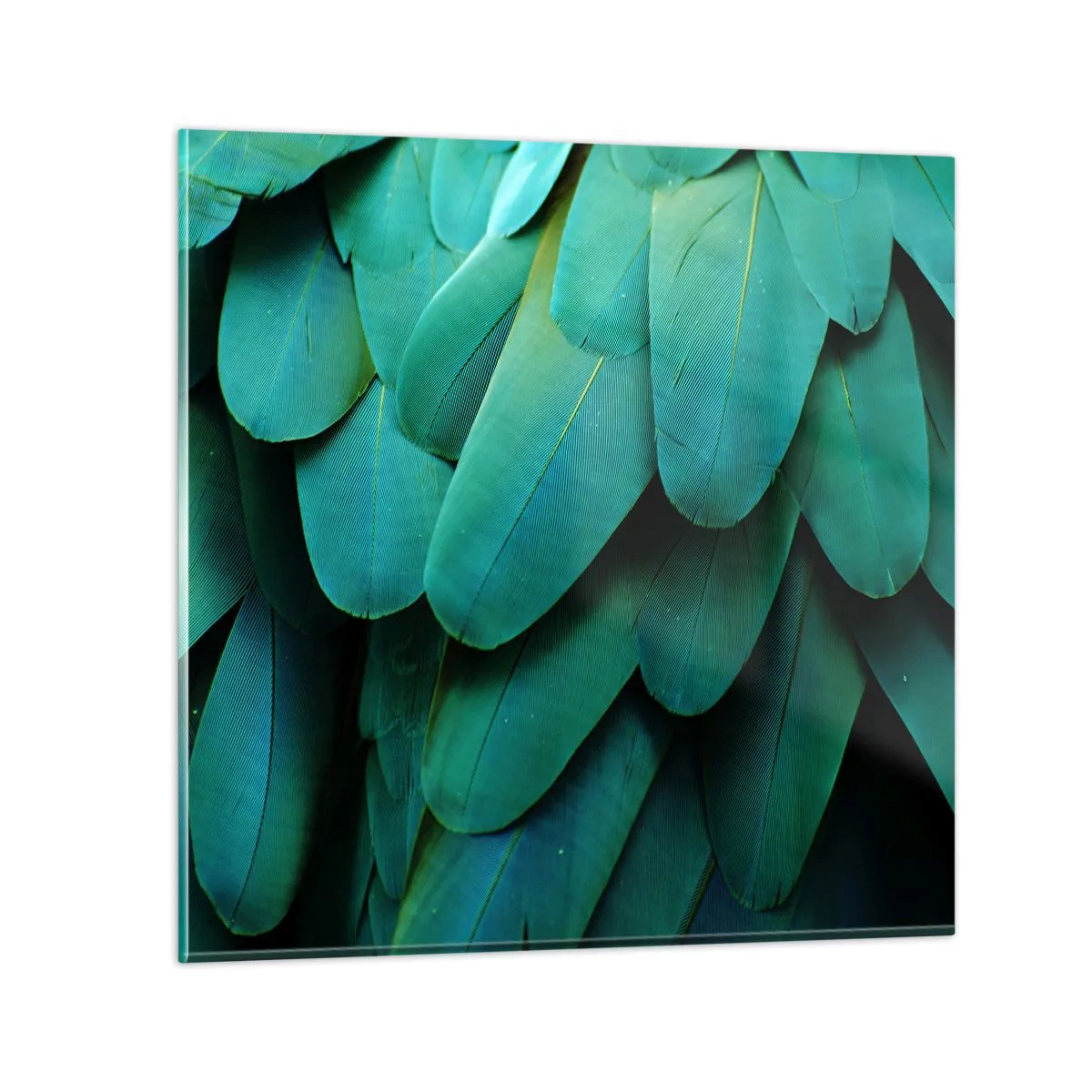 Glass picture - Precision of Parrot Nature - 40x40 cm
