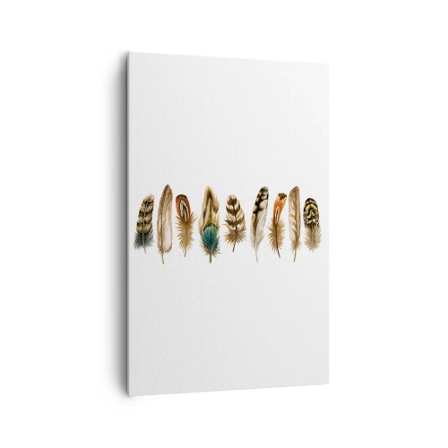 Canvas picture - Feather Variation - 80x120 cm
