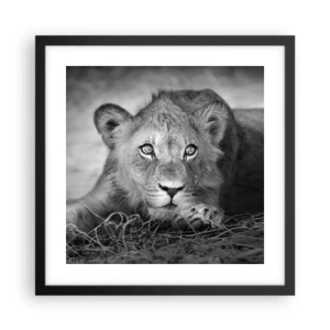 Poster in black frame - Royal Puppy - 40x40 cm