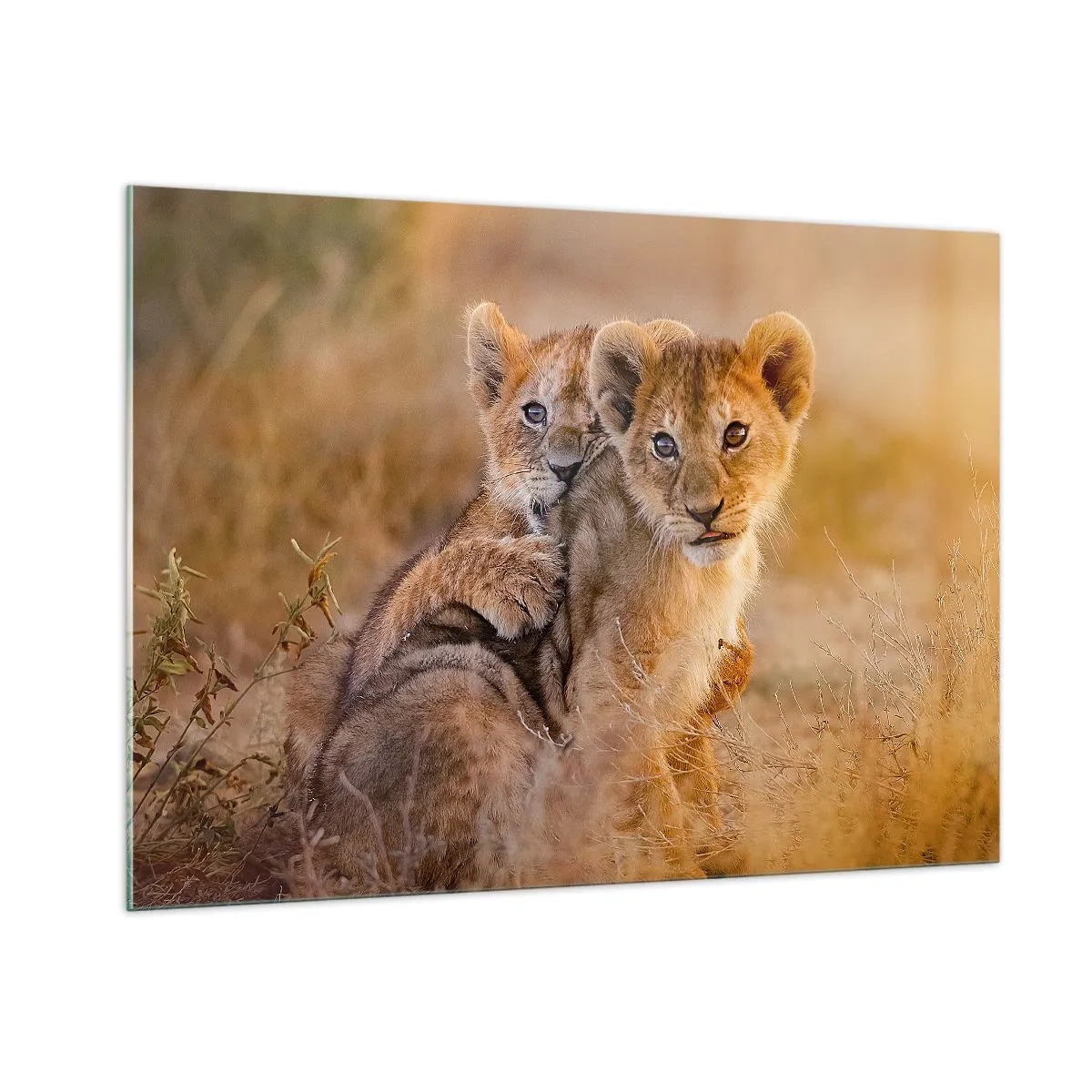 Glass picture - Do Not Disturb! We Are Playing - 100x70 cm