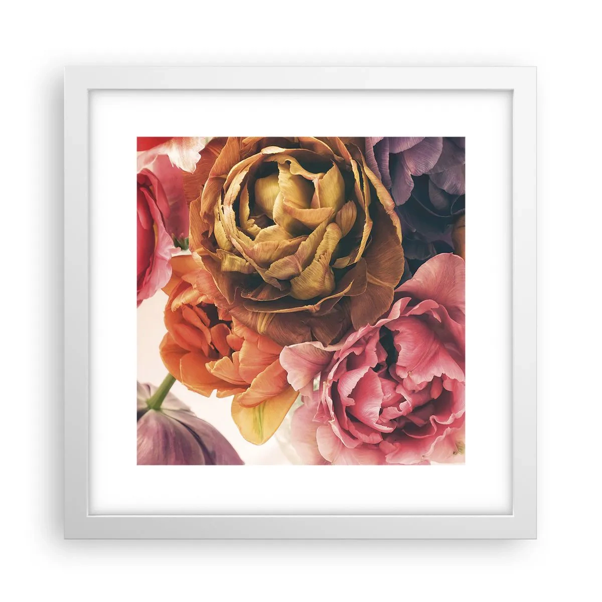 Poster in white frmae - Celebration of Life - 30x30 cm