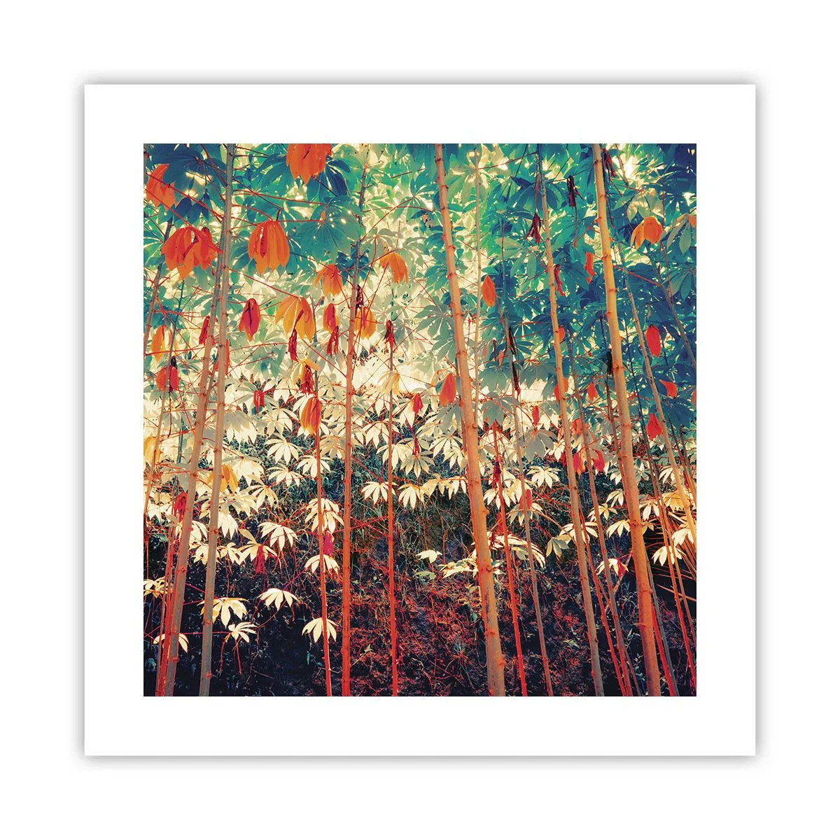 Poster - Secret Life of Leaves - 40x40 cm