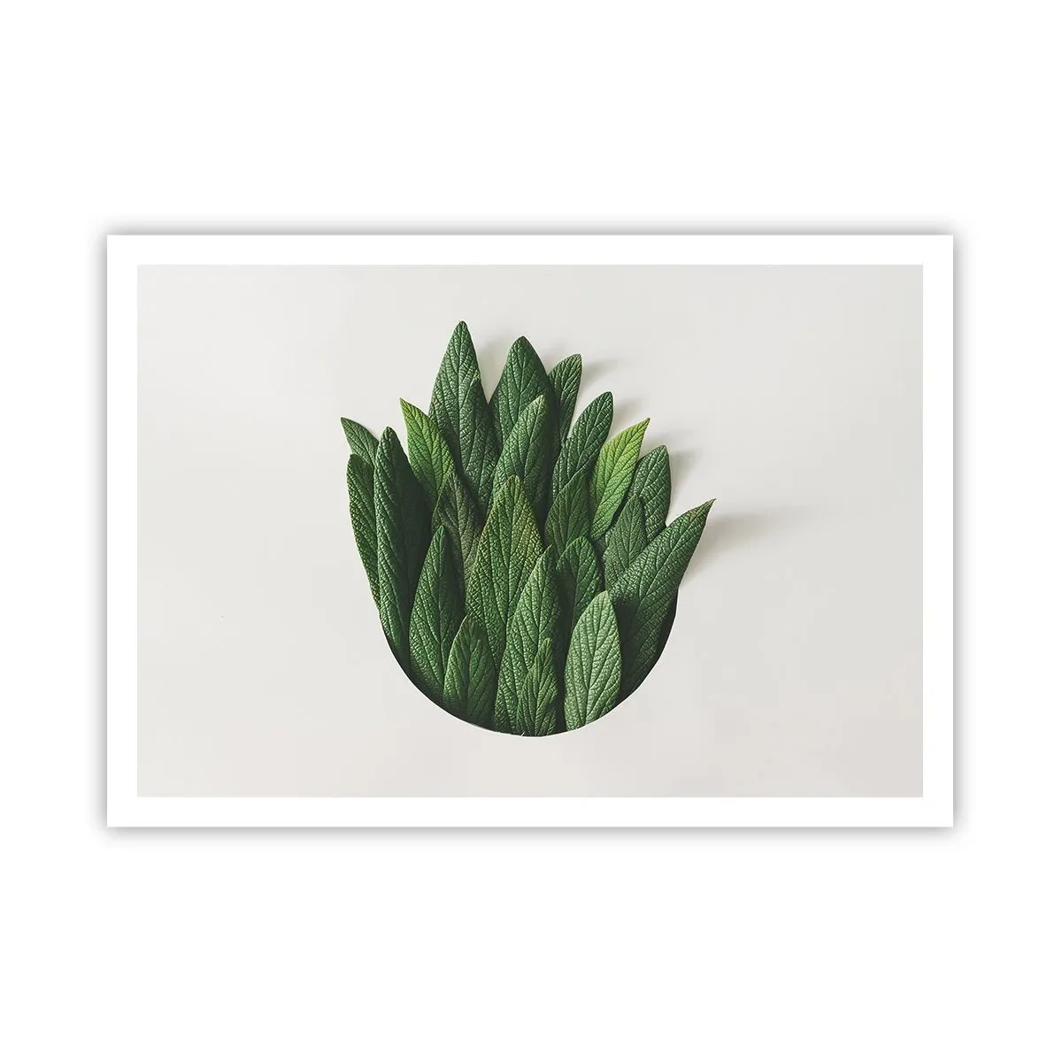 Poster - Untamed Curiosity - 100x70 cm