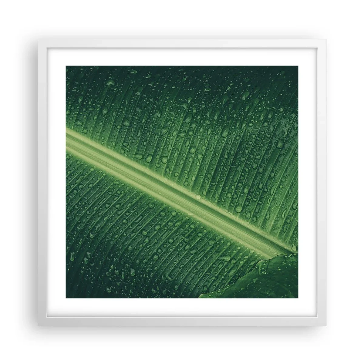 Poster in white frmae - Structure of Green - 50x50 cm