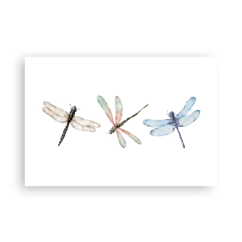 Poster - Lightness of Dragonflies  - 91x61 cm