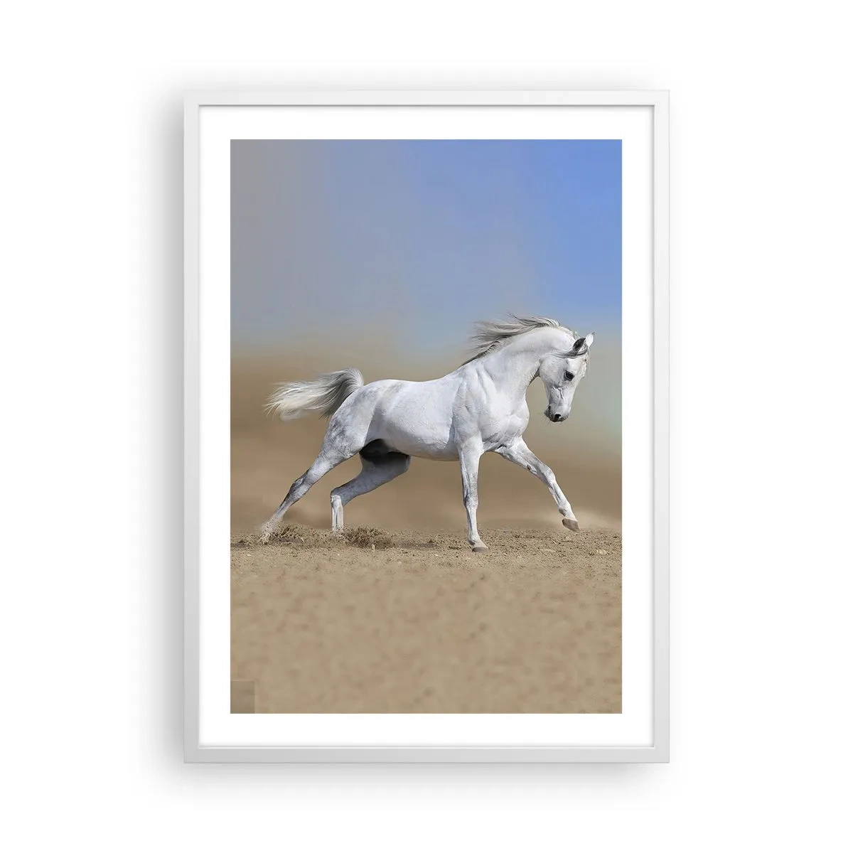 Poster in white frmae - The Most Beautiful Arabic Tale - 50x70 cm