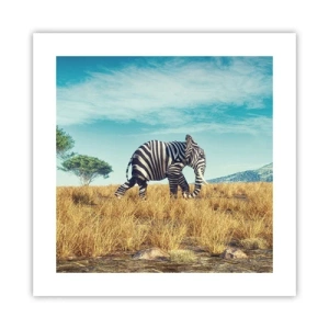 Poster - Greyness Is Not In Fashion - 40x40 cm