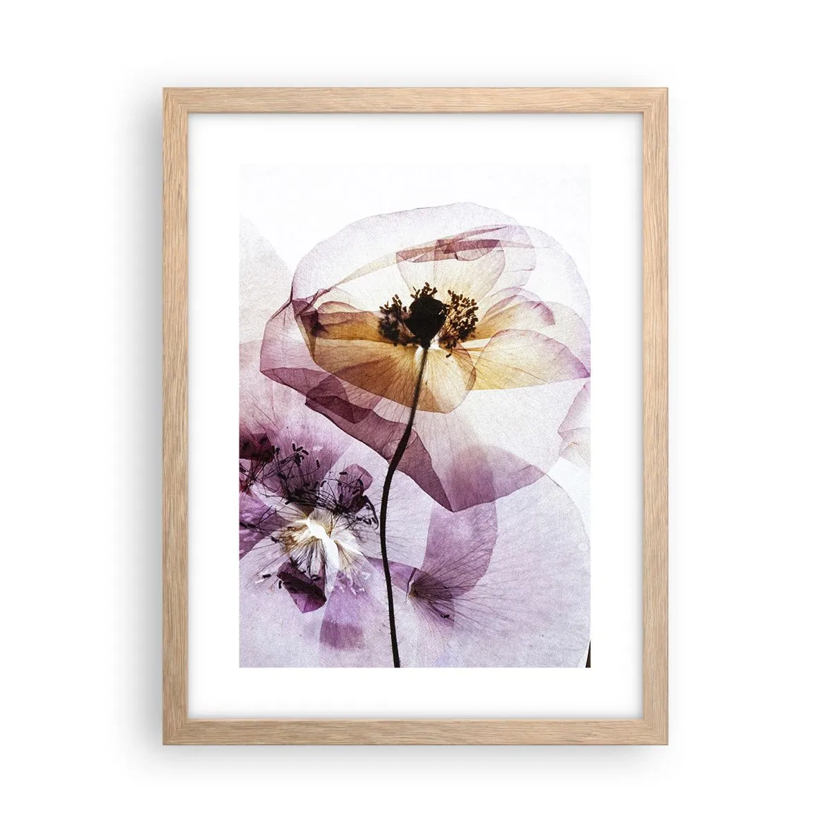 Poster in light oak frame - Flower Body Slide - 30x40 cm
