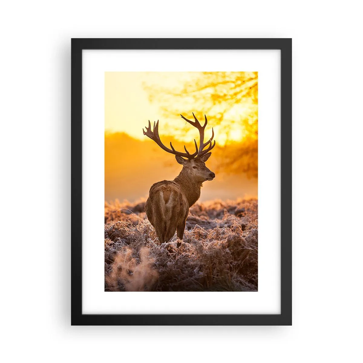Poster in black frame - King of Autumnal Forest - 30x40 cm
