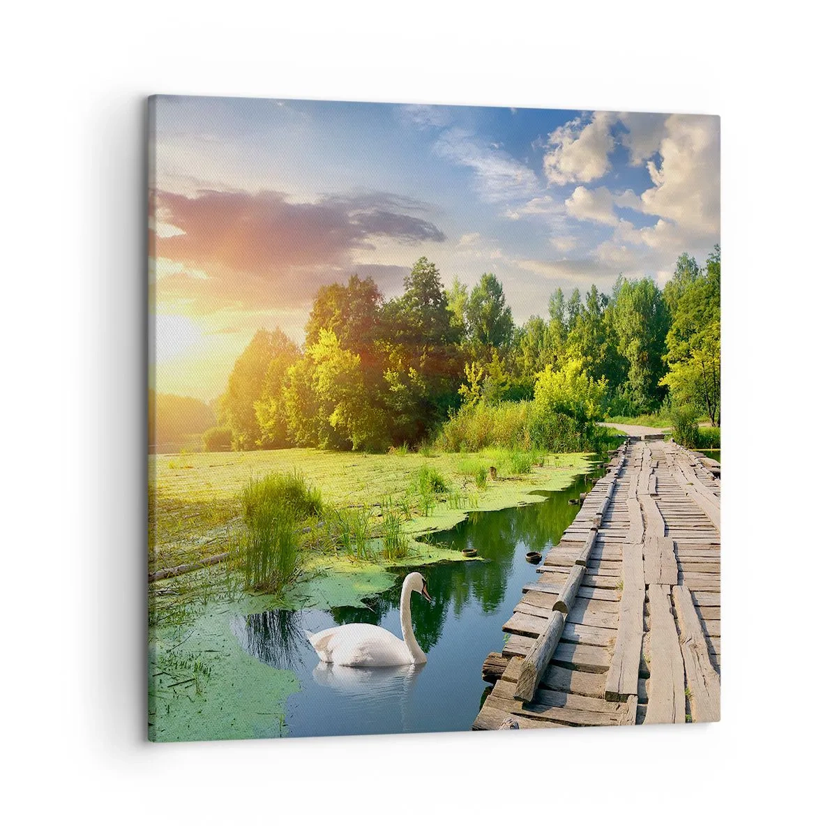 Canvas picture - Summer Everywhere - 50x50 cm