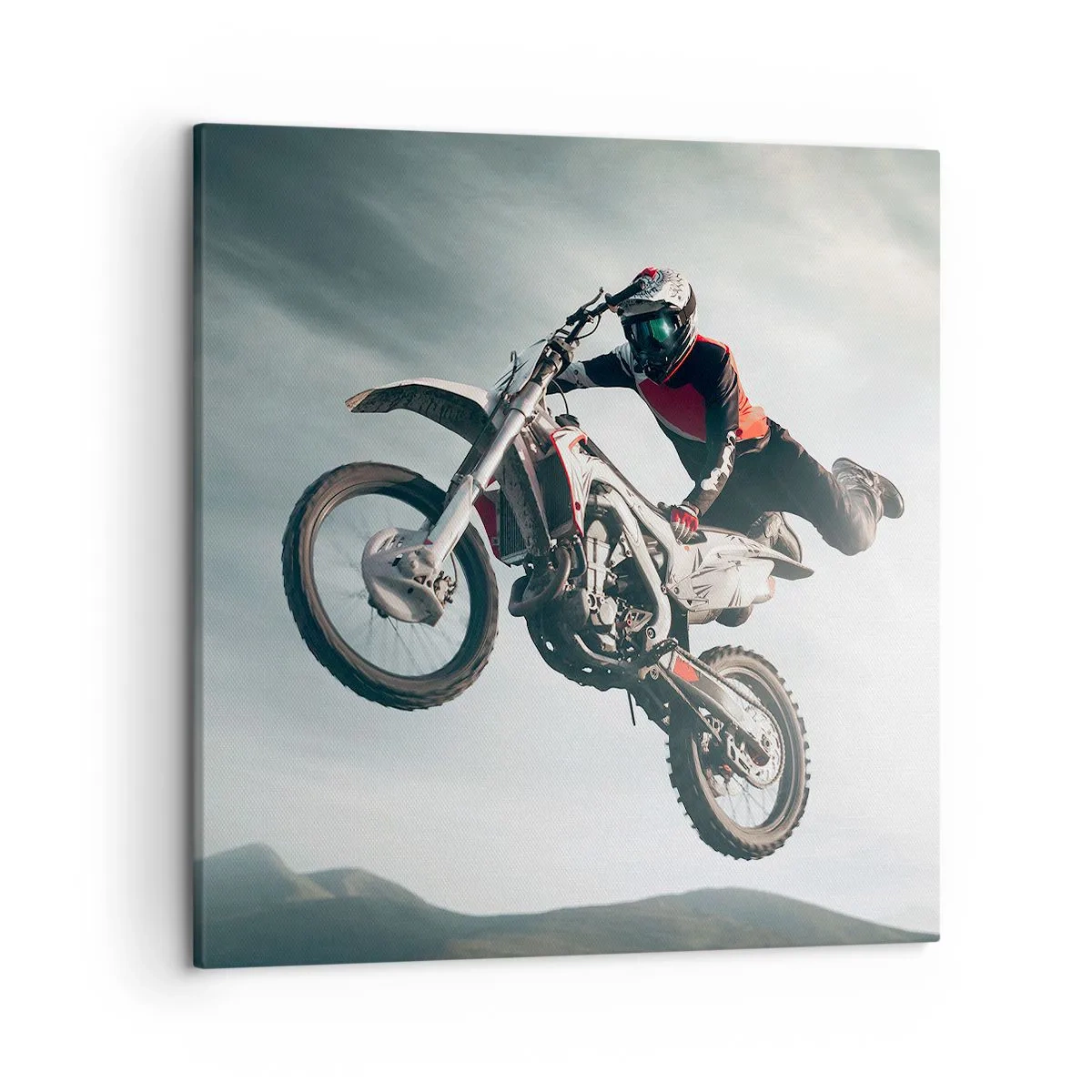 Canvas picture - No Risk, No Fun - 50x50 cm