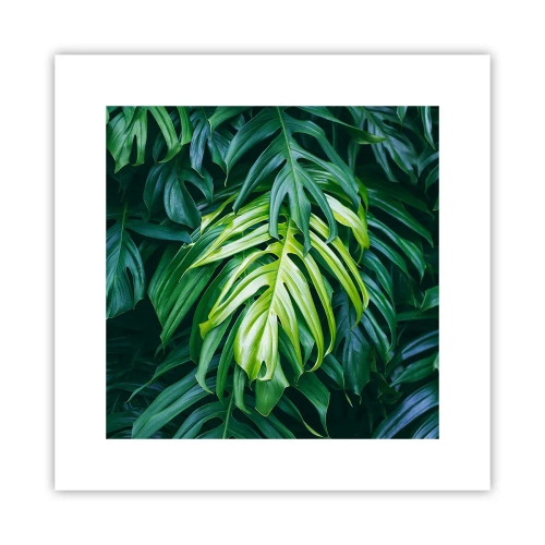 Poster - Immerse Yourself in Freshness - 30x30 cm