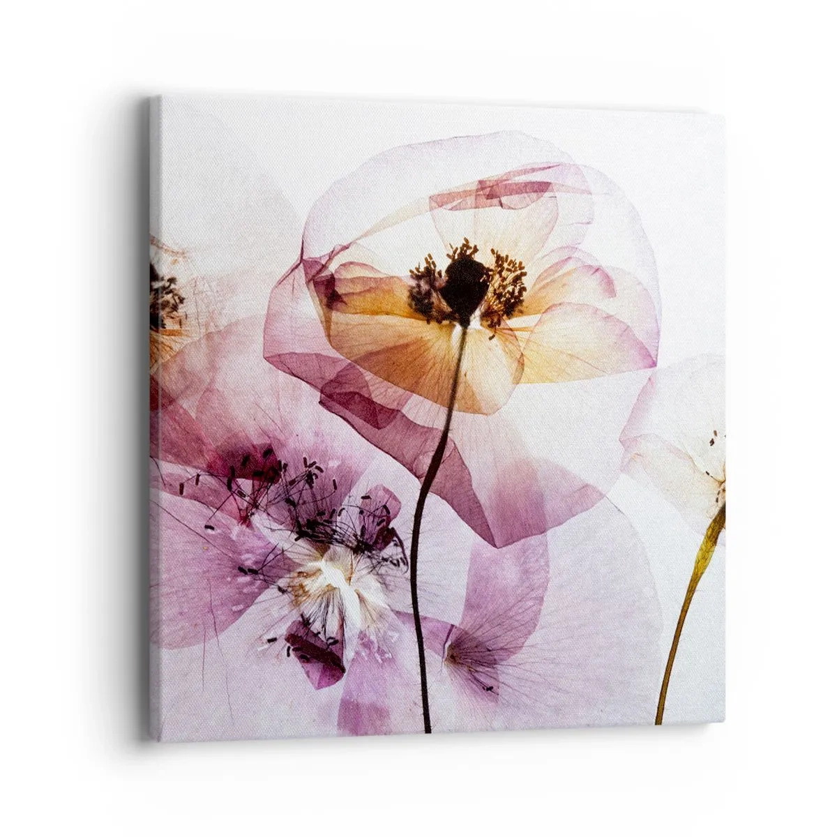 Canvas picture - Flower Body Slide - 40x40 cm