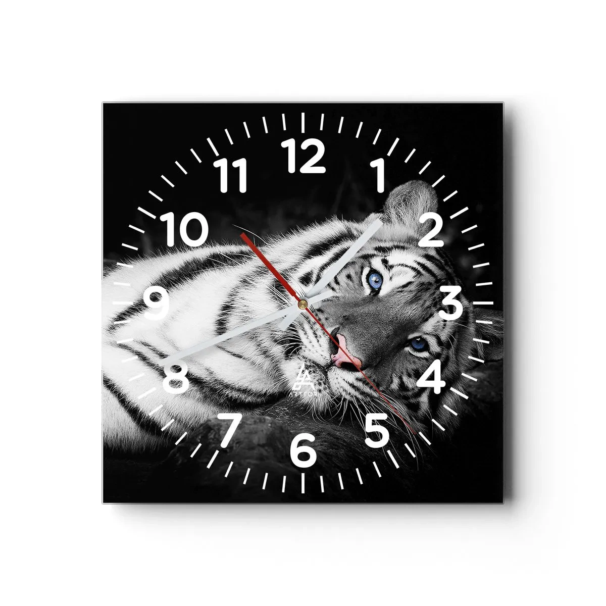 Wall clock - Clock on glass - Wilderness and Calm - 30x30 cm
