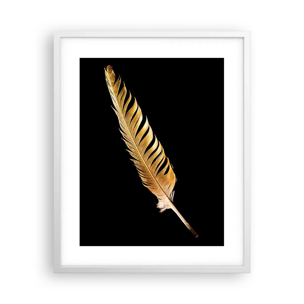 Poster in white frmae - High-Class Feather - 40x50 cm