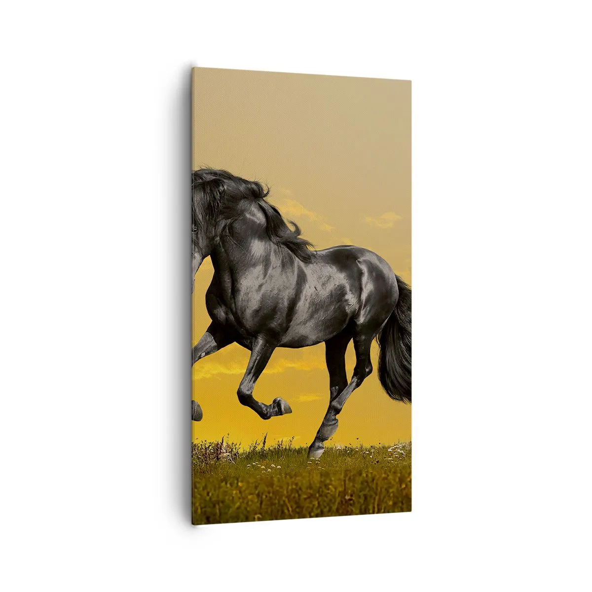 Canvas picture - Beautiful, Free and Wild - 65x120 cm