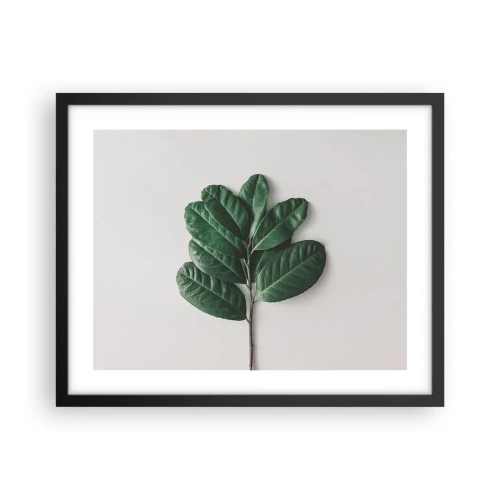 Poster in black frame - Drawing of Nature Itself - 50x40 cm