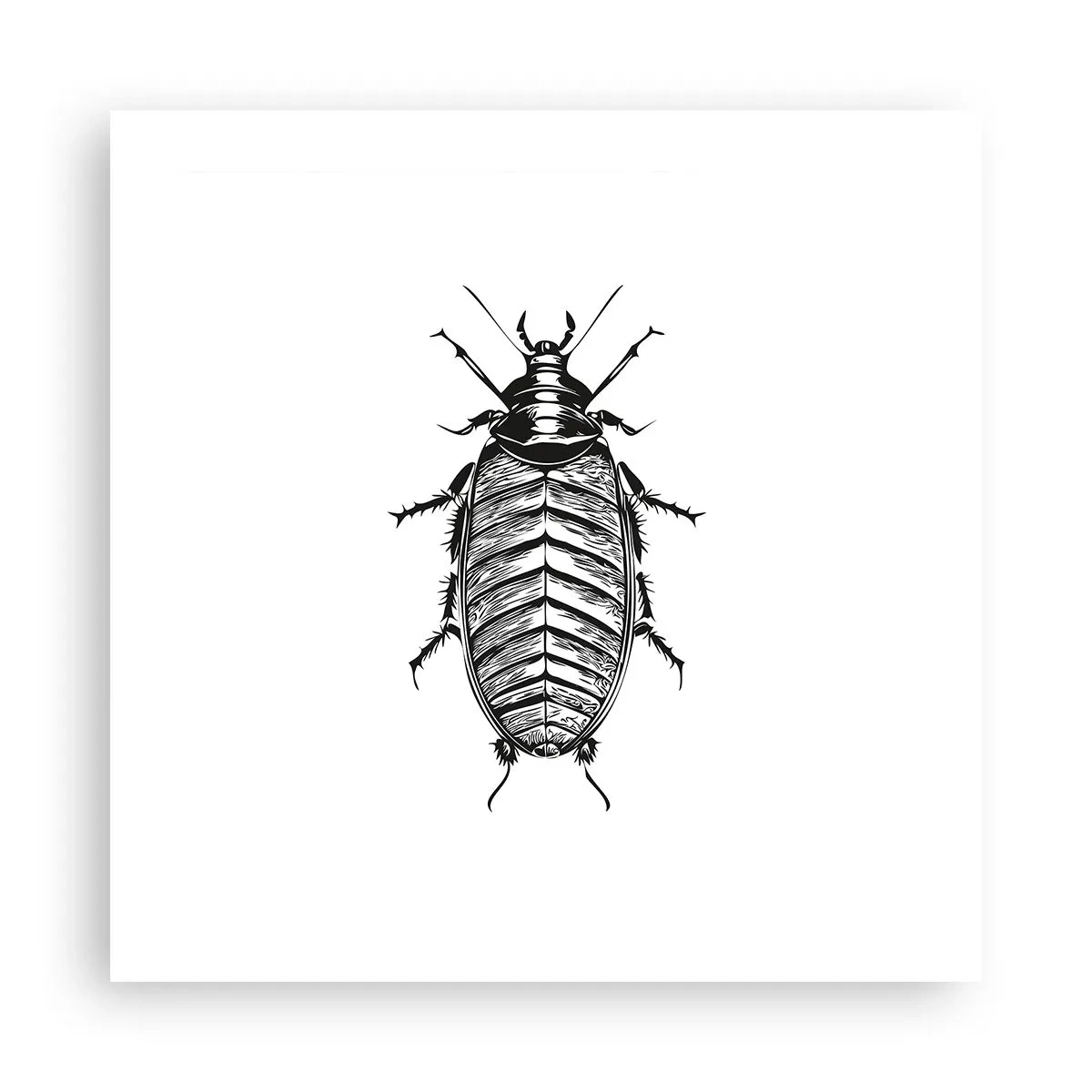 Poster - What a Specimen - 50x50 cm