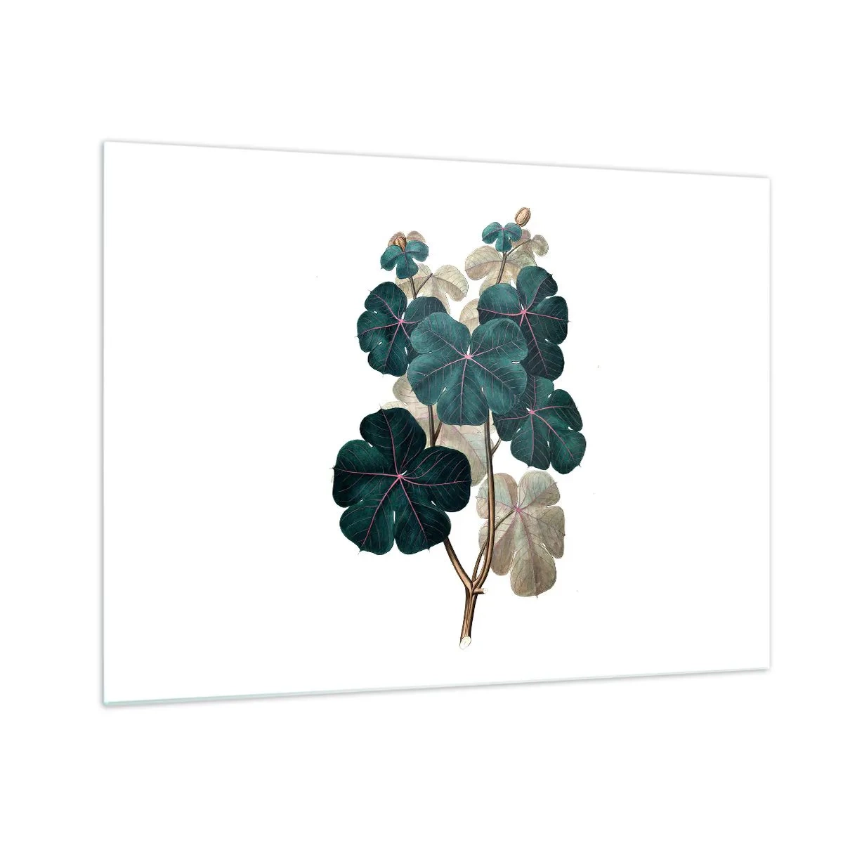 Glass picture - Botanical illustration of green leaves on a white background - 70x50cm - From the Old Herbarium - Modern wall decoration for the living room and bedroom ARTTOR