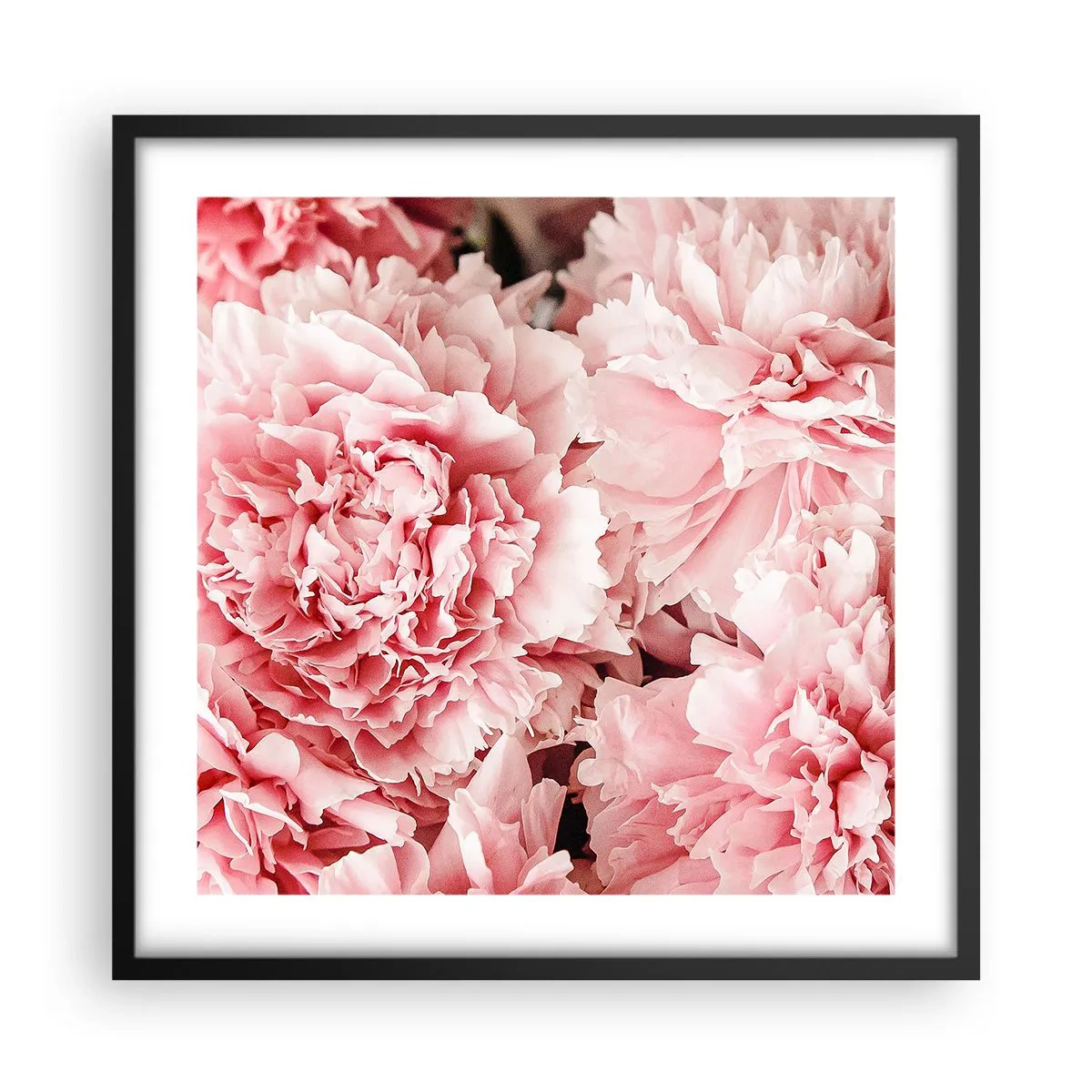 Poster in black frame - Pink Dreams - 50x50 cm