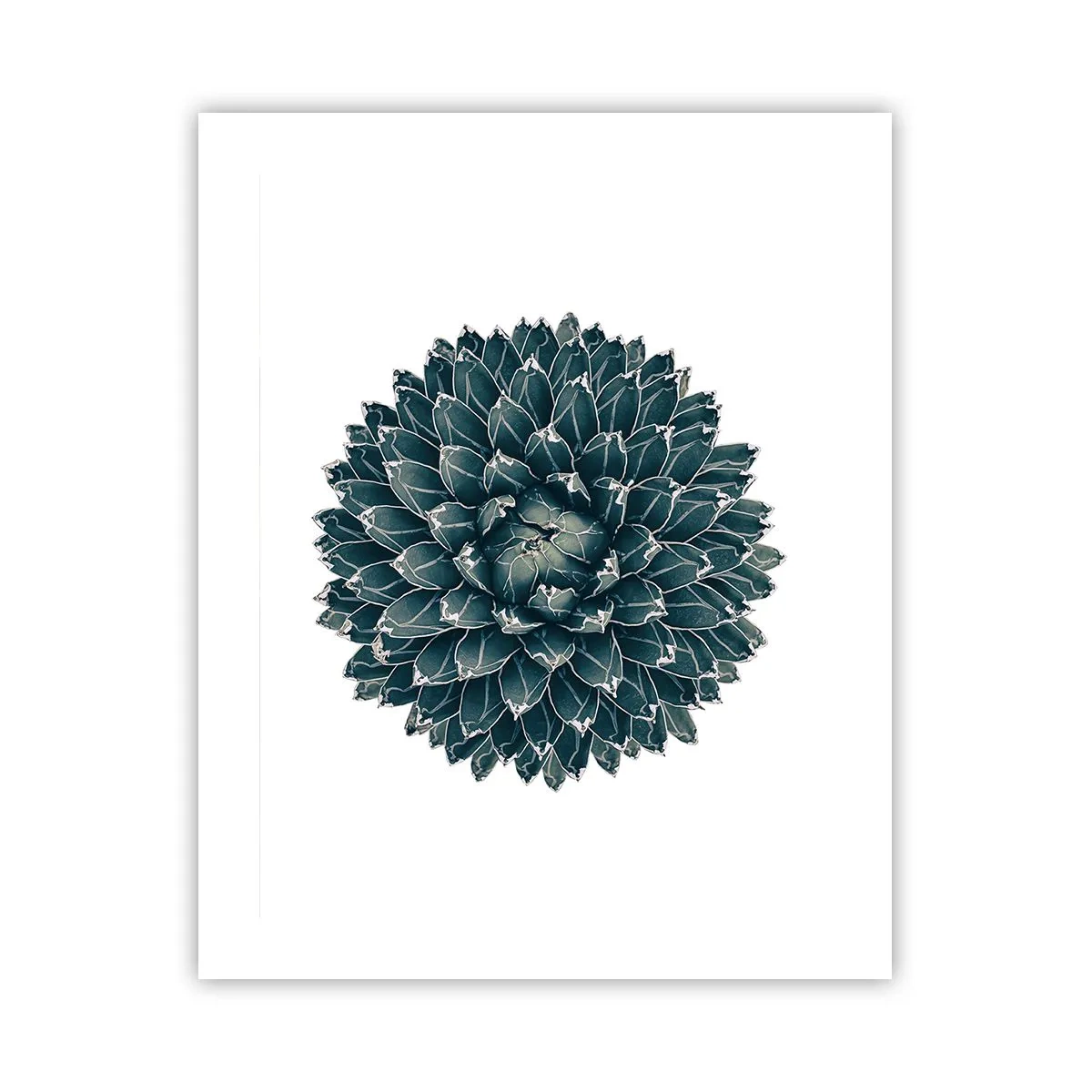 Poster - Star of the Desert - 40x50 cm