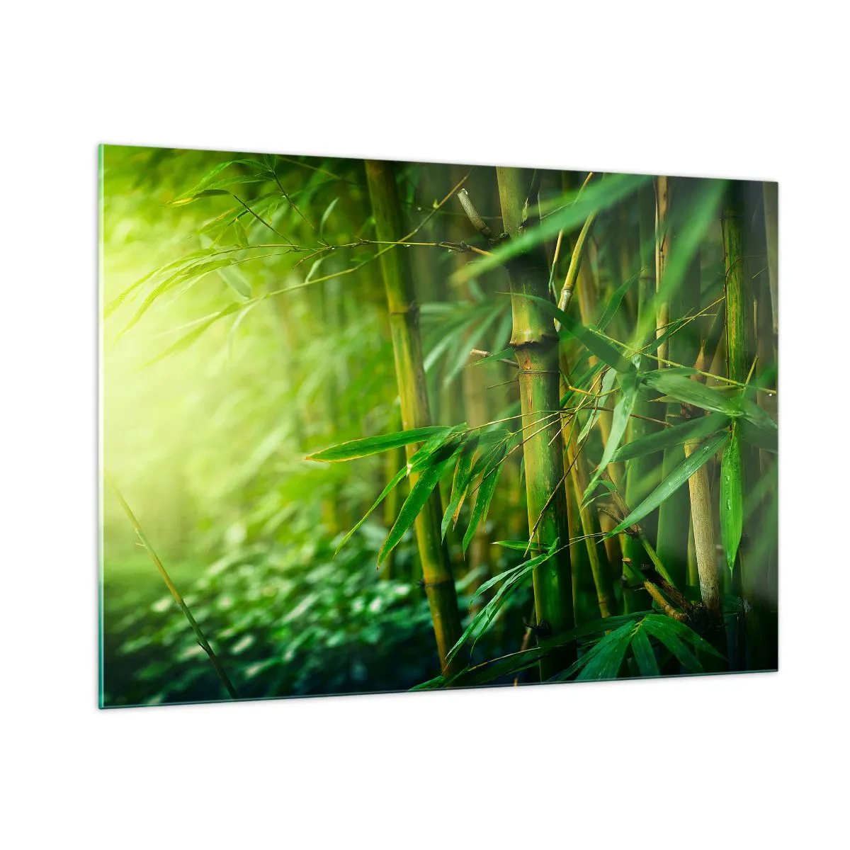 Glass picture - Getting to Know the Green - 100x70 cm