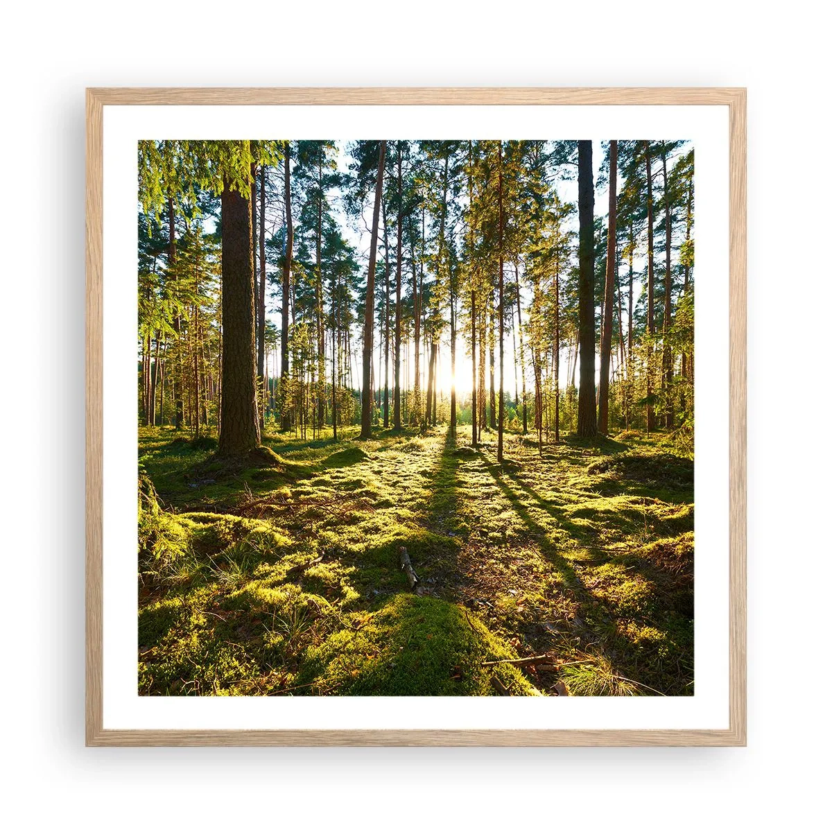 Poster in light oak frame - Deep in the Forest - 60x60 cm