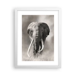 Poster in white frmae - African Patriarch - 30x40 cm