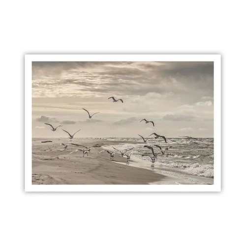 Poster - Sound of the Sea, Singing of the Birds - 100x70 cm