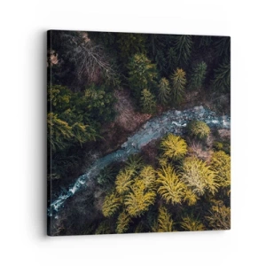 Canvas picture - Fast and Faster - 30x30 cm