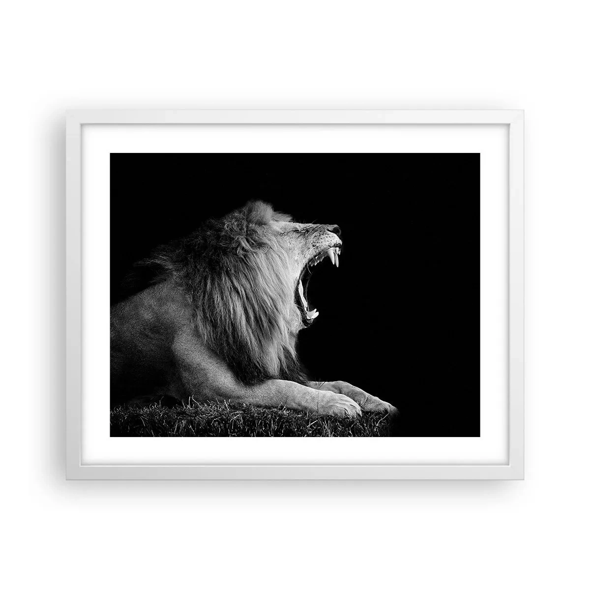 Poster in white frmae - Without Any Doubt - 50x40 cm