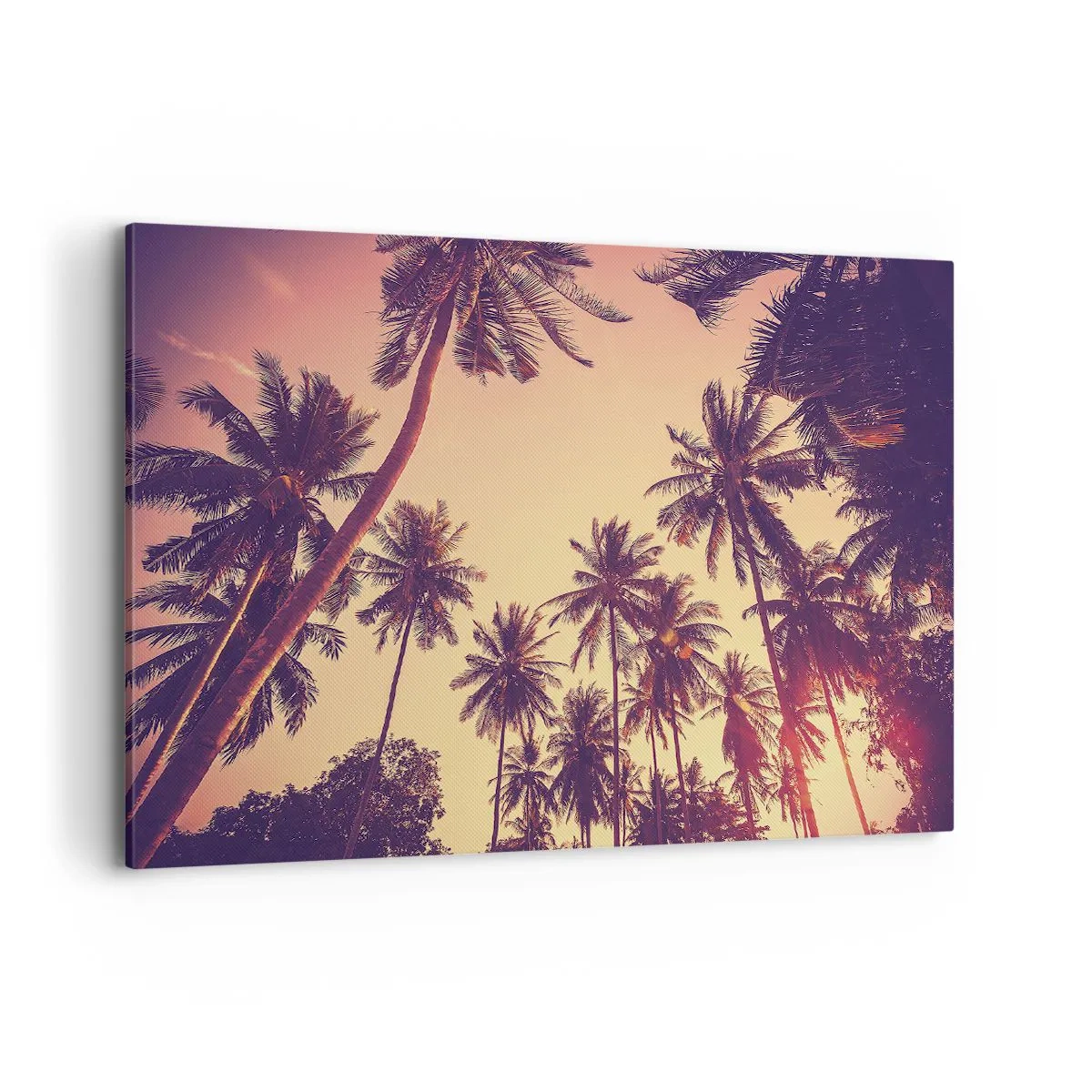 Canvas picture - Tropical Variation - 100x70 cm