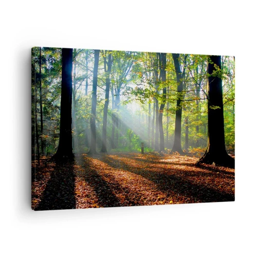 Canvas picture - A forest glade illuminated by the sun's rays - 70x50cm - Highs And Lows - Modern wall decoration for the living room and bedroom ARTTOR