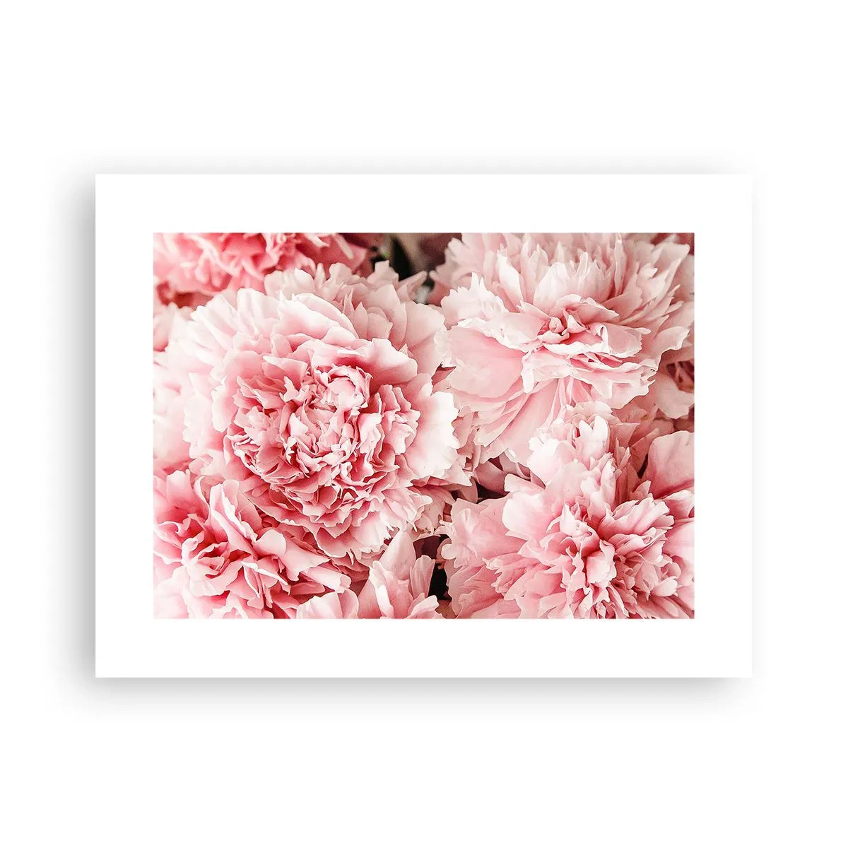 Poster - Pink Dreams - 40x30 cm