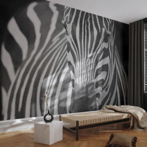 Photo Wallpaper Standard Eco - A black and white close-up of a zebra with a distinctive stripe pattern. - 100x70cm - World Is Black and White - Modern wall decoration for the living room and bedroom ARTTOR