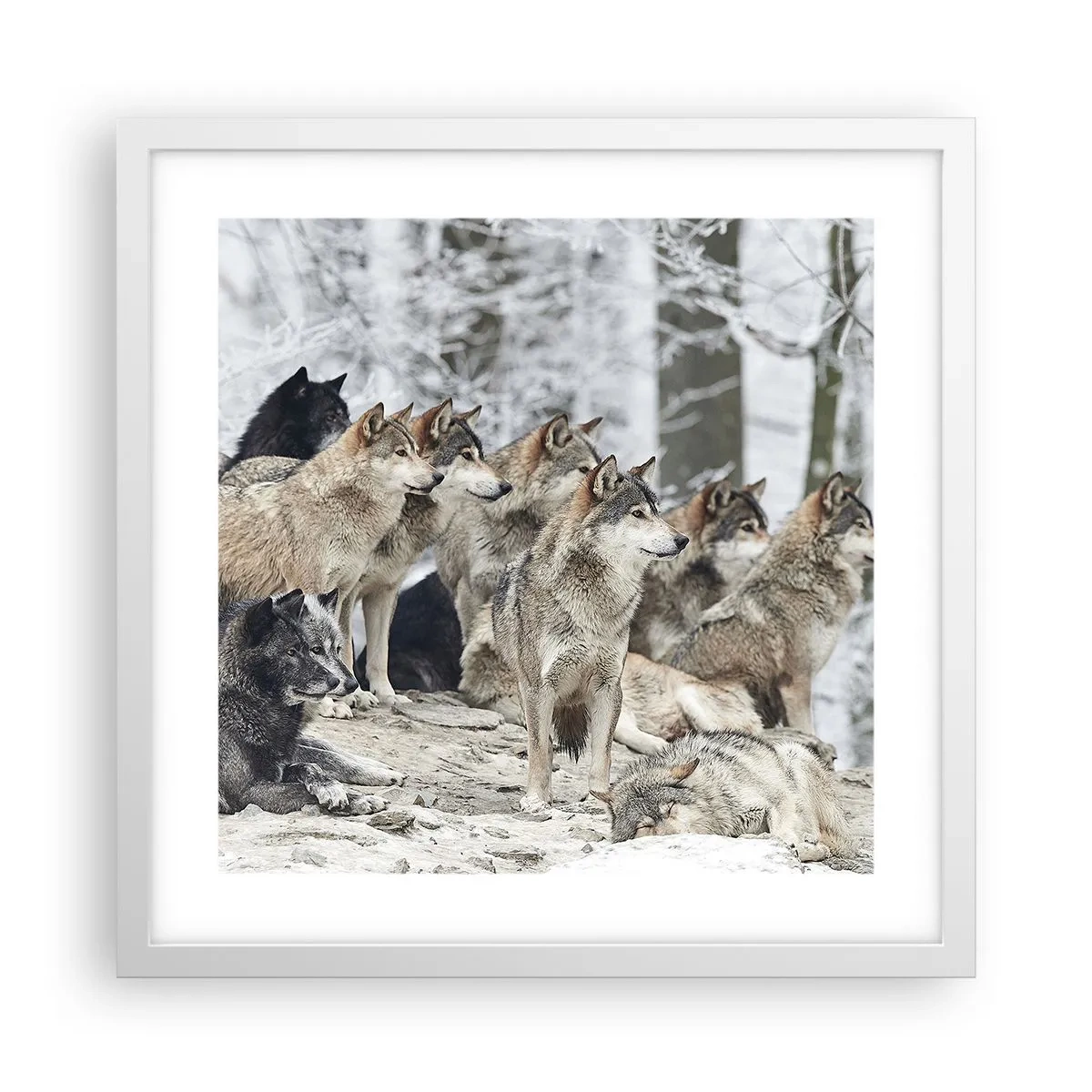 Poster in white frmae - Family and Friends - 40x40 cm