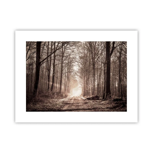 Poster - Cathedral of the Forest - 40x30 cm