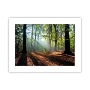 Poster - Highs And Lows - 40x30 cm