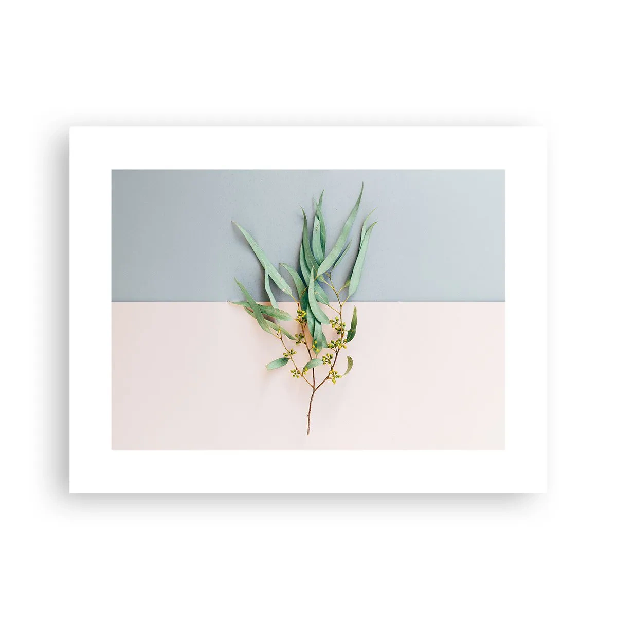 Poster - Pastel Subtlety - 40x30 cm