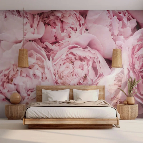 Self-Adhesive Photo Wallpaper Deluxe Sticker - Cuddly and Fragrant - Peony, Flowers, Bouquet of flowers - 500x350 cm