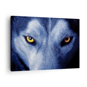 Canvas picture - Close-up of a wolf's intense gaze against a dark background - 70x50cm - Mesmerising Look - Modern wall decoration for the living room and bedroom ARTTOR