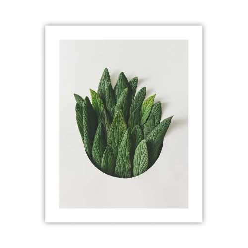 Poster - Untamed Curiosity - 40x50 cm