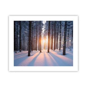 Poster - Clearly Black on White - 50x40 cm