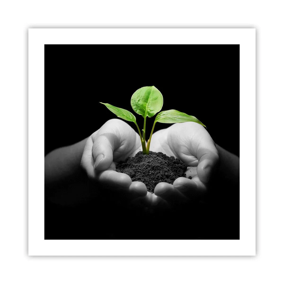 Poster - I Love Nature, I Protect It - 50x50 cm