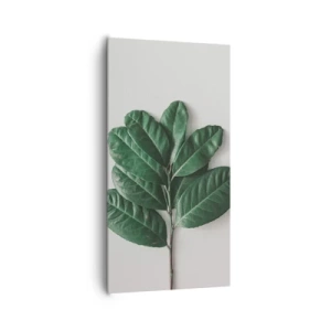 Canvas picture - Drawing of Nature Itself - 65x120 cm