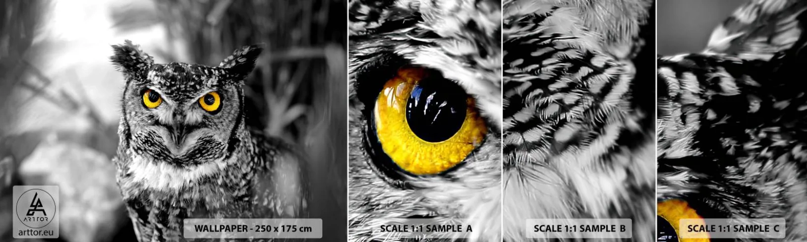 Photo Wallpaper Sample Self-Adhesive Deluxe Sticker - Nothing Can Hide - Birds, Owl, Nature - 100x30 cm